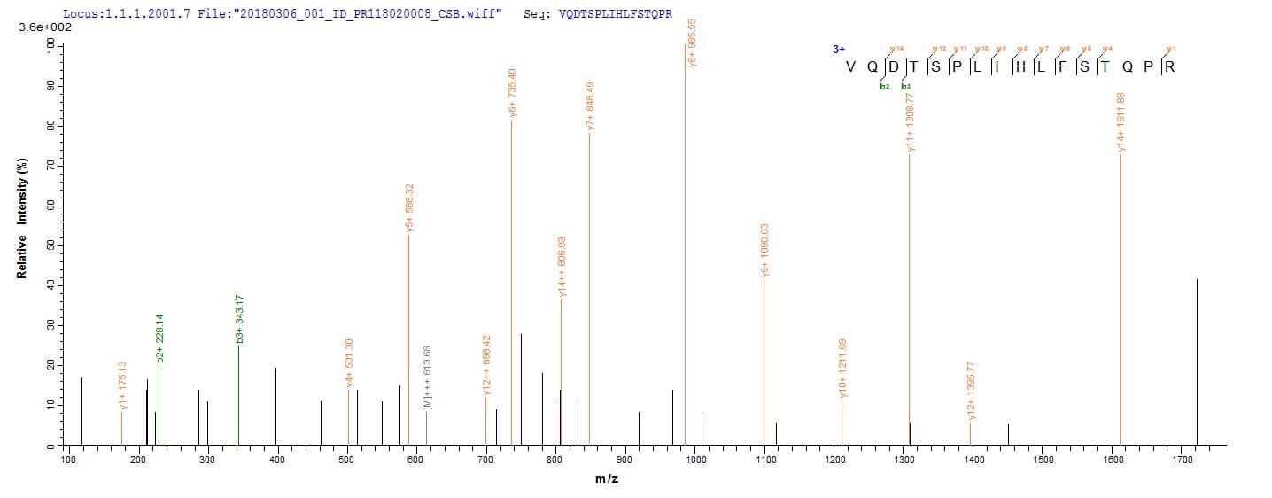 E. coli glcC Protein (Recombinant 6His-SUMO, N-terminus)