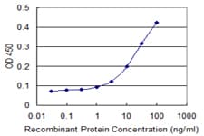 TNFSF13 / APRIL Antibody (clone 4A11)