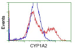 CYP1A2 Antibody (clone OTI8F1)