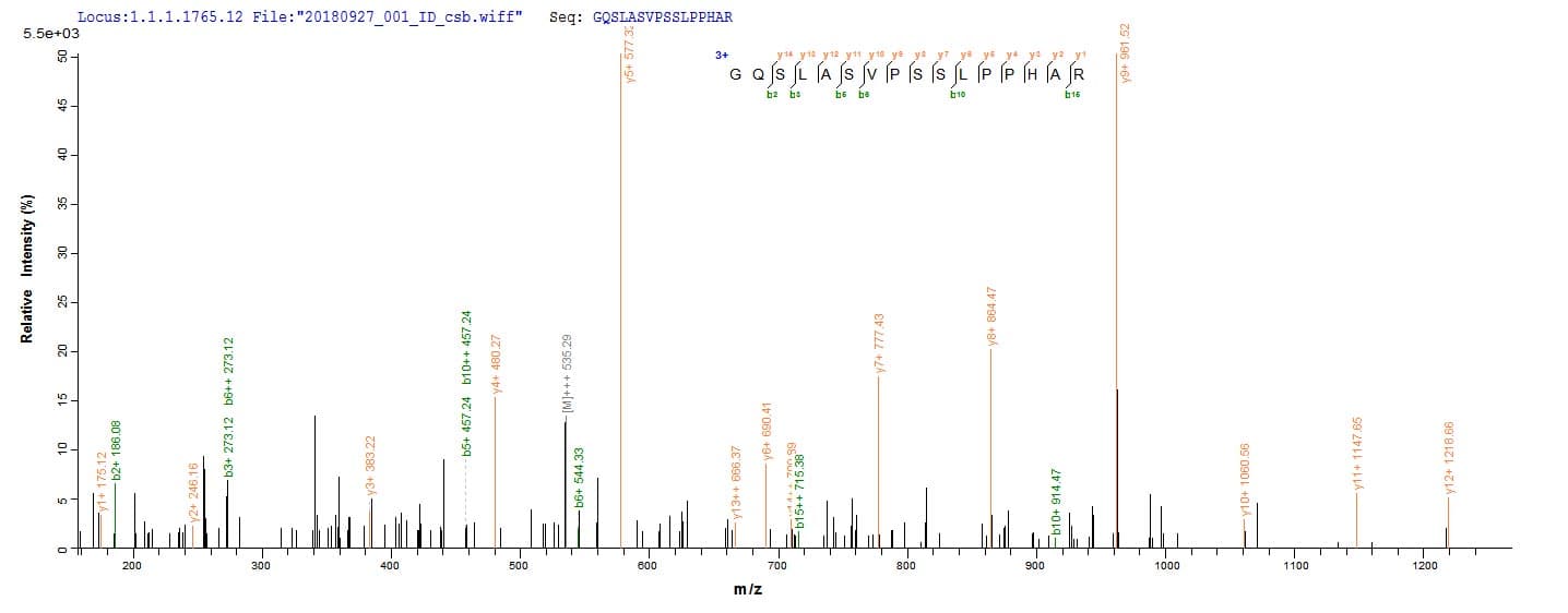 Human NRROS / LRRC33 Protein (Recombinant 10His, N-terminus + Myc, C-terminus)