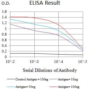IGF2R / CD222 Antibody (clone 4F1G1)