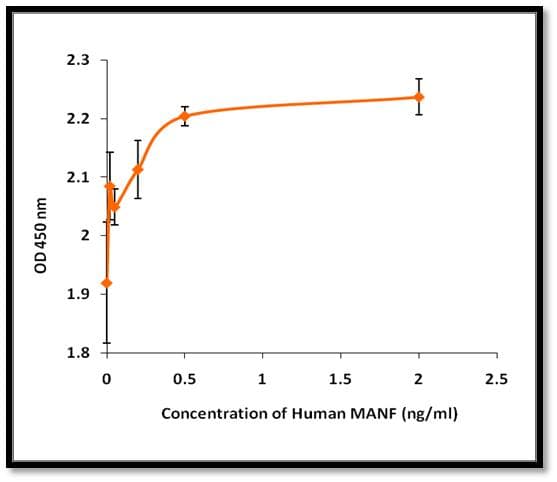 Human MANF / ARMET Protein (Recombinant)