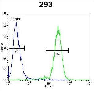 MAN2A1 / Mannosidase II Antibody (aa456-482)