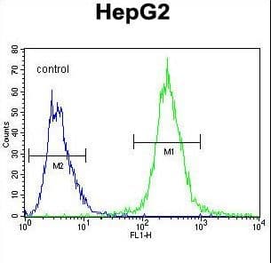 PALB2 Antibody (aa546-574)