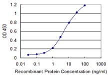 Monoclonal Mouse anti-Human SRP54 Antibody (clone 2G7, WB)