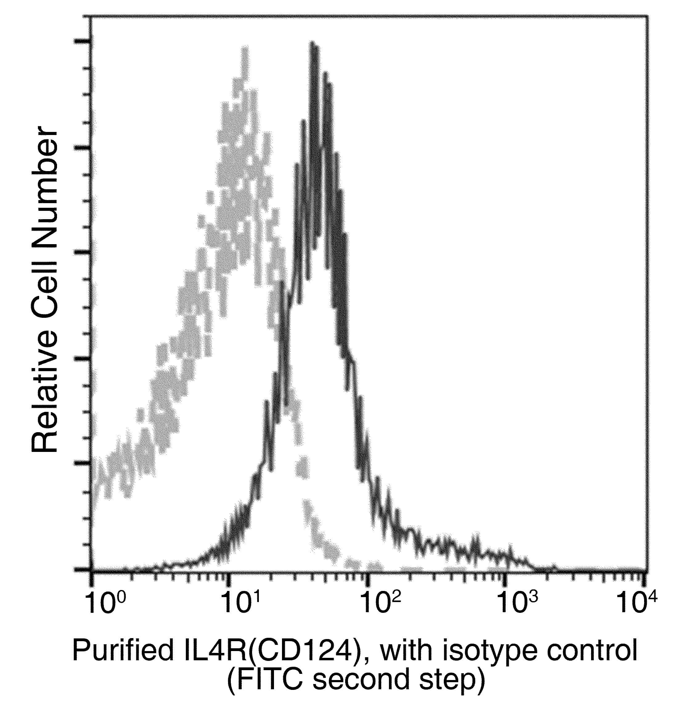 IL4R / CD124 Antibody (clone 002, Preservative Free)