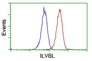 ILVBL Antibody (clone OTI8A12)