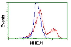 NHEJ1 / XLF Antibody (clone OTI2C8, Carrier-free)