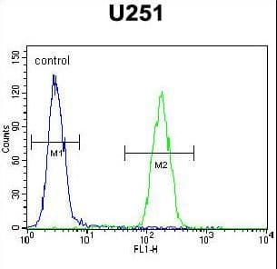 AMN1 Antibody (aa13-42)