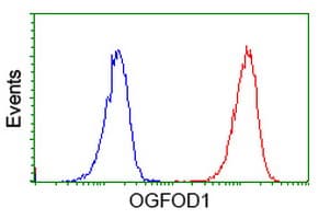 OGFOD1 Antibody (clone OTI1D9)