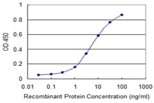 Monoclonal Mouse anti-Human RXTA / RXR-Alpha Antibody (clone 4D6, WB)