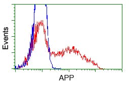 APP / Beta Amyloid Precursor Antibody (clone OTI7G9)