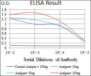 SLC2A4 / GLUT-4 Antibody (aa224-353, clone 3G10A3)