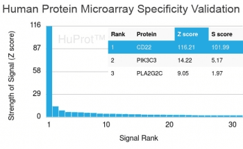 CD22 Antibody (clone BLCAM/1795, Azide-free, BSA-free)