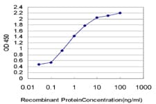 IHC-plus™ MYH9 Antibody (clone 2B3)