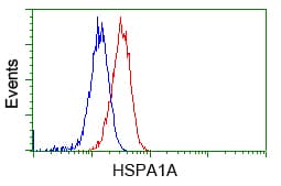 Heat Shock Protein 70 / HSPA1A Antibody (clone OTI3C6)