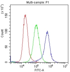 c-Kit / CD117 Antibody (aa26-285)