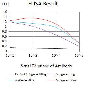 ACSS1 Antibody (clone 4E12F1)