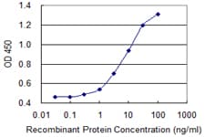 PRF1 / Perforin Antibody (aa461-555, clone 3B4)