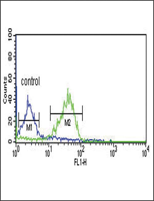 WNT1 Antibody (aa260-288)