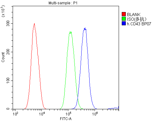 Polyclonal Rabbit anti-Human SPN / CD43 Antibody (aa272-400, IHC, WB)