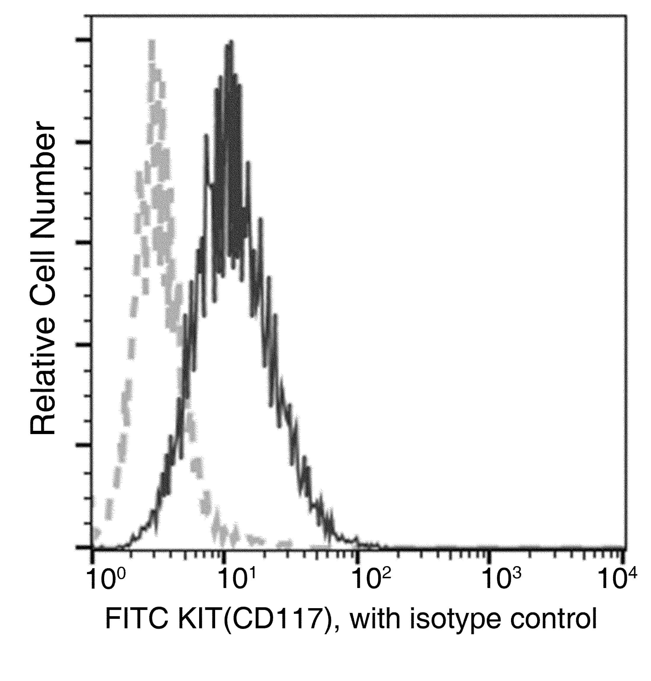 c-Kit / CD117 Antibody (clone 34, FITC)