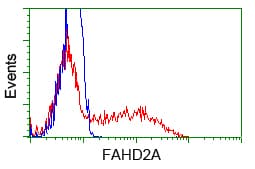 FAHD2A Antibody (clone OTI5A7)