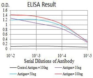 AMY1A / Salivary Amylase Antibody (clone 5G6F7)