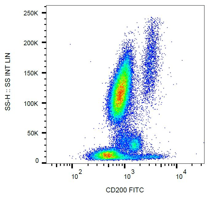 CD200 Antibody (clone OX-104, FITC)