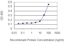 GJB2 / CX26 / Connexin 26 Antibody (clone 1C6)