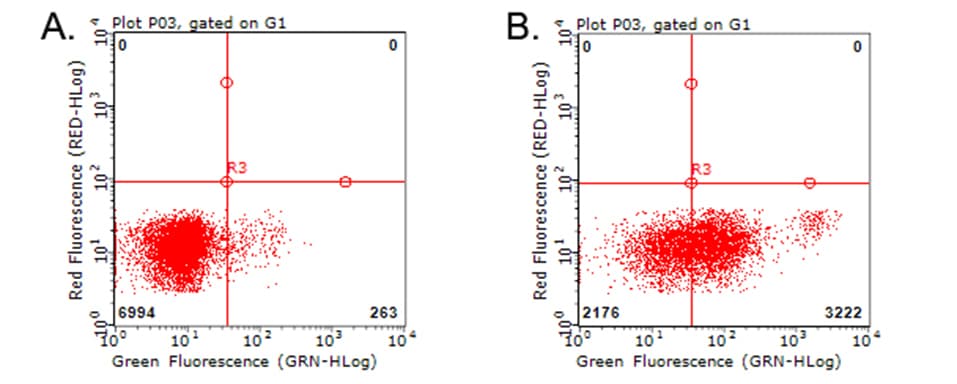 CD274 / B7-H1 / PD-L1 Antibody (clone OTI4G4)