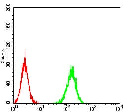 ADAMTS1 Antibody (clone 1C12E6)
