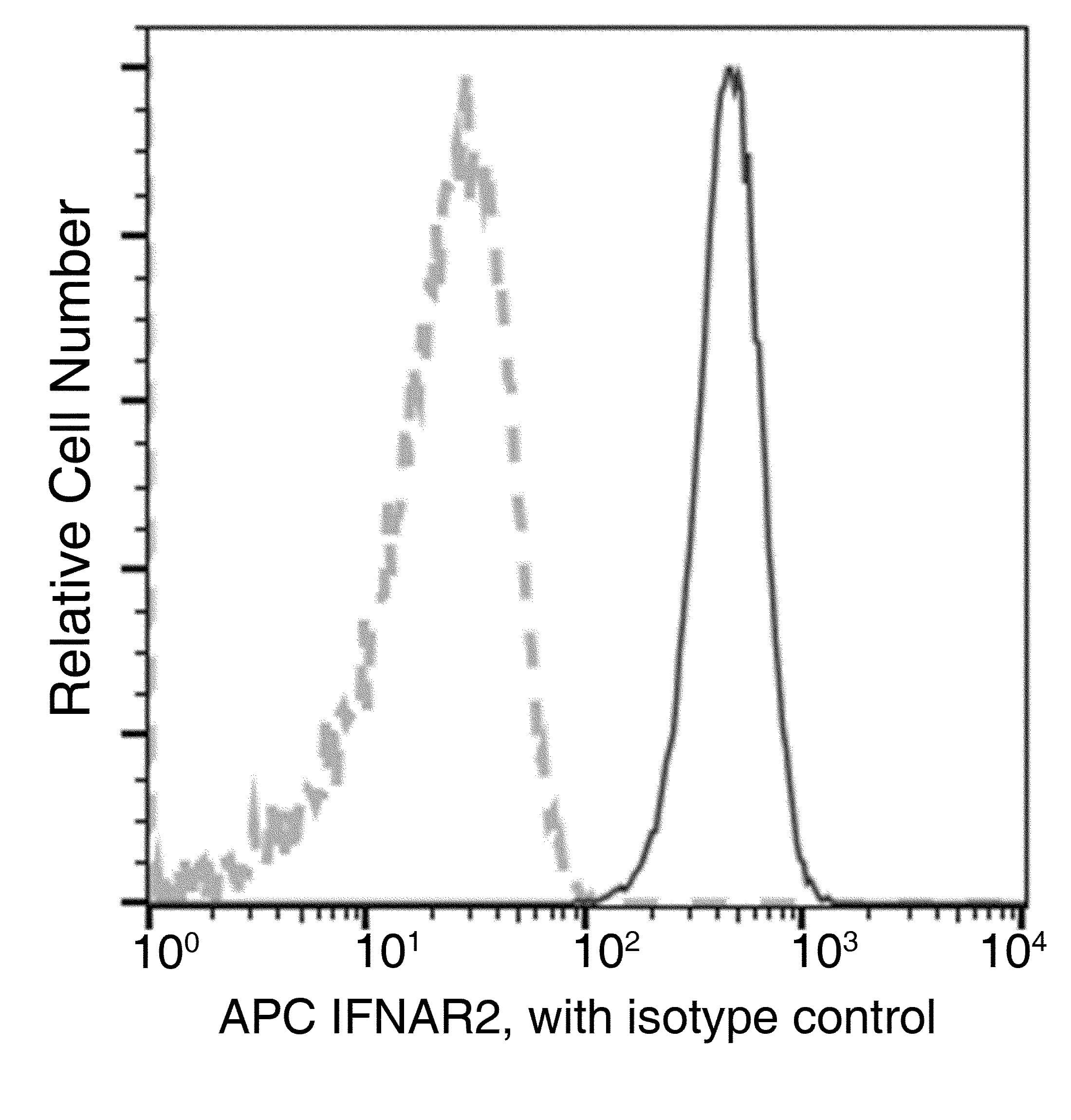 Monoclonal Rabbit anti-Human IFNAR2 Antibody (clone 122, APC)