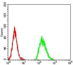 Monoclonal Mouse anti-Human AGR2 Antibody (clone 5G1F8, IHC, WB)