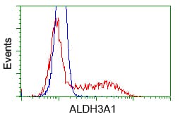 IHC-plus™ ALDH3A1 Antibody (clone 1B6)