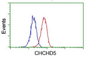 CHCHD5 Antibody (clone OTI4F3)