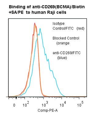 TNFRSF17 / BCMA Antibody (clone ANC3B1, Biotin)