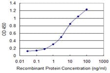 Monoclonal Mouse anti-Human GLE1 Antibody (clone 1D8, IF, WB)