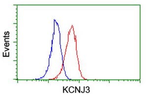 KCNJ3 / GIRK1 Antibody (clone OTI1G3)