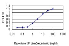 PSMD5 Antibody (clone 3E2)