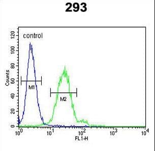 EPCAM Antibody (aa57-85)