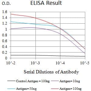 Monoclonal Mouse anti-Human CLEC9A Antibody (clone 2H6H10, WB)