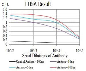 Monoclonal Mouse anti-Human CHRNA3 Antibody (clone 6D3A10, IHC, WB)
