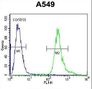 LRRC6 Antibody (aa179-207)