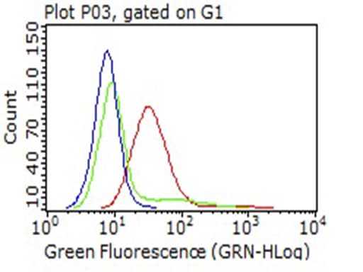 LAMP1 / CD107a Antibody (aa29-382, clone OTI10E1)