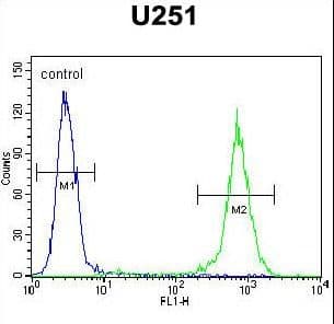 GGTLC2 Antibody (aa127-154)