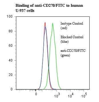 Monoclonal Mouse anti-Human TNFRSF14 / CD270 / HVEM Antibody (clone ANC3B7, FITC)