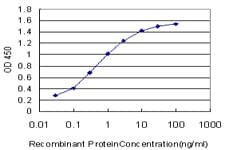 CXCR5 Antibody (clone 2C1)