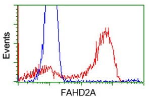 FAHD2A Antibody (clone OTI9G1)