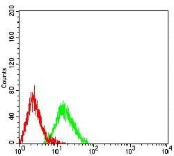 Monoclonal Mouse anti-Human GP9 / CD42a Antibody (clone 4E2G7, WB)